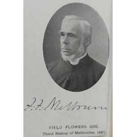 Field Flowers Goe photograph